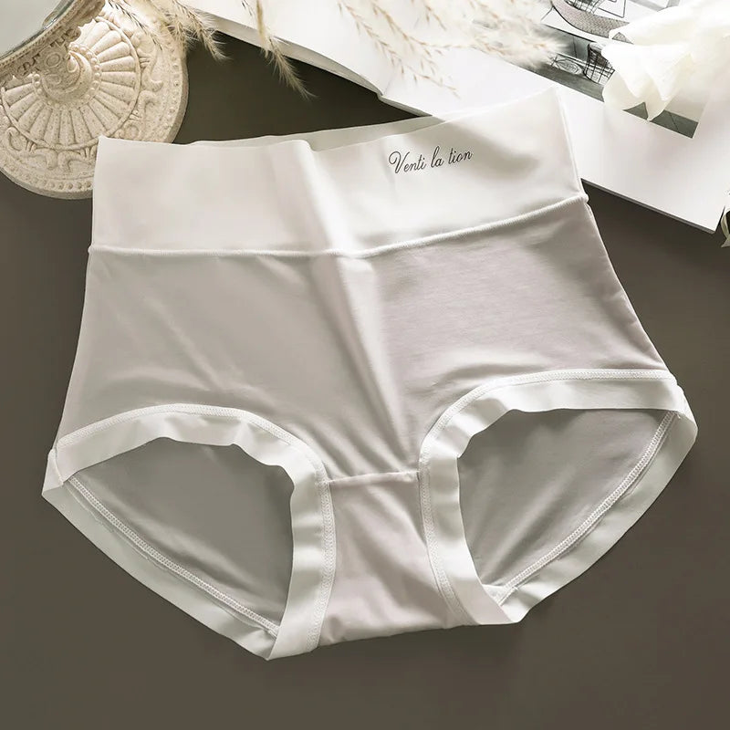 Plus Size High Waist Seamless Briefs