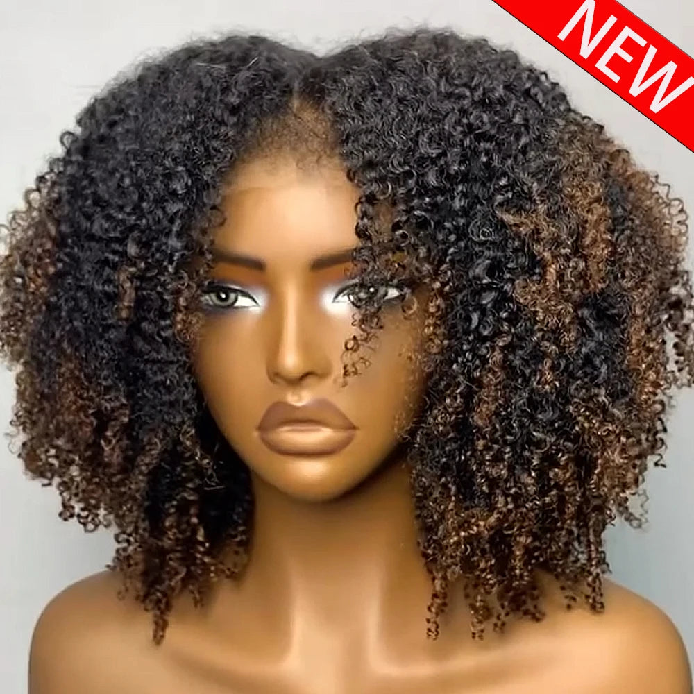 Highlighted Hd Lace Front Human Hair Wigs Glueless