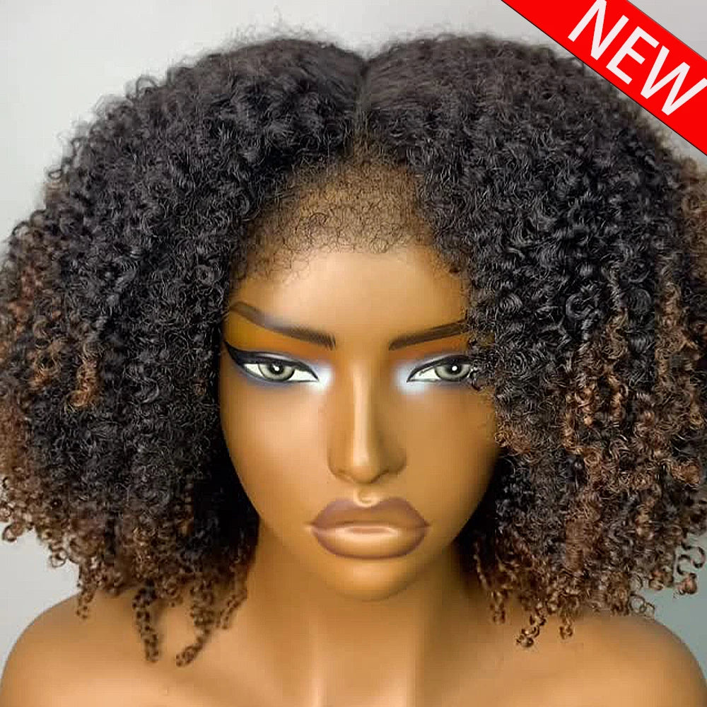 Highlighted Hd Lace Front Human Hair Wigs Glueless