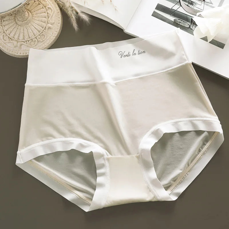 Plus Size High Waist Seamless Briefs