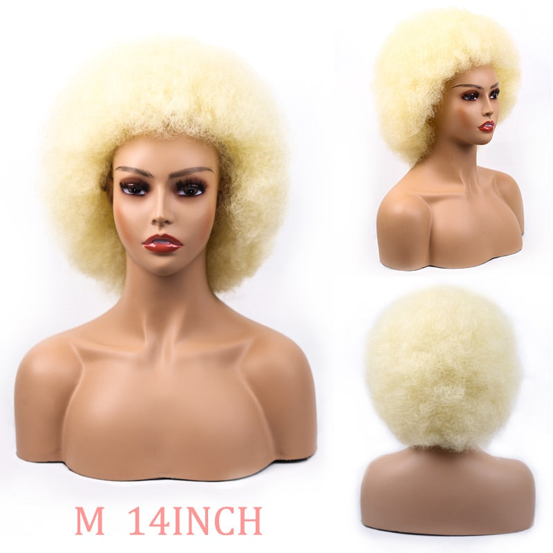 Synthetic Short Fluffy Afro Wigs