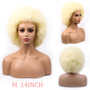 Synthetic Short Fluffy Afro Wigs