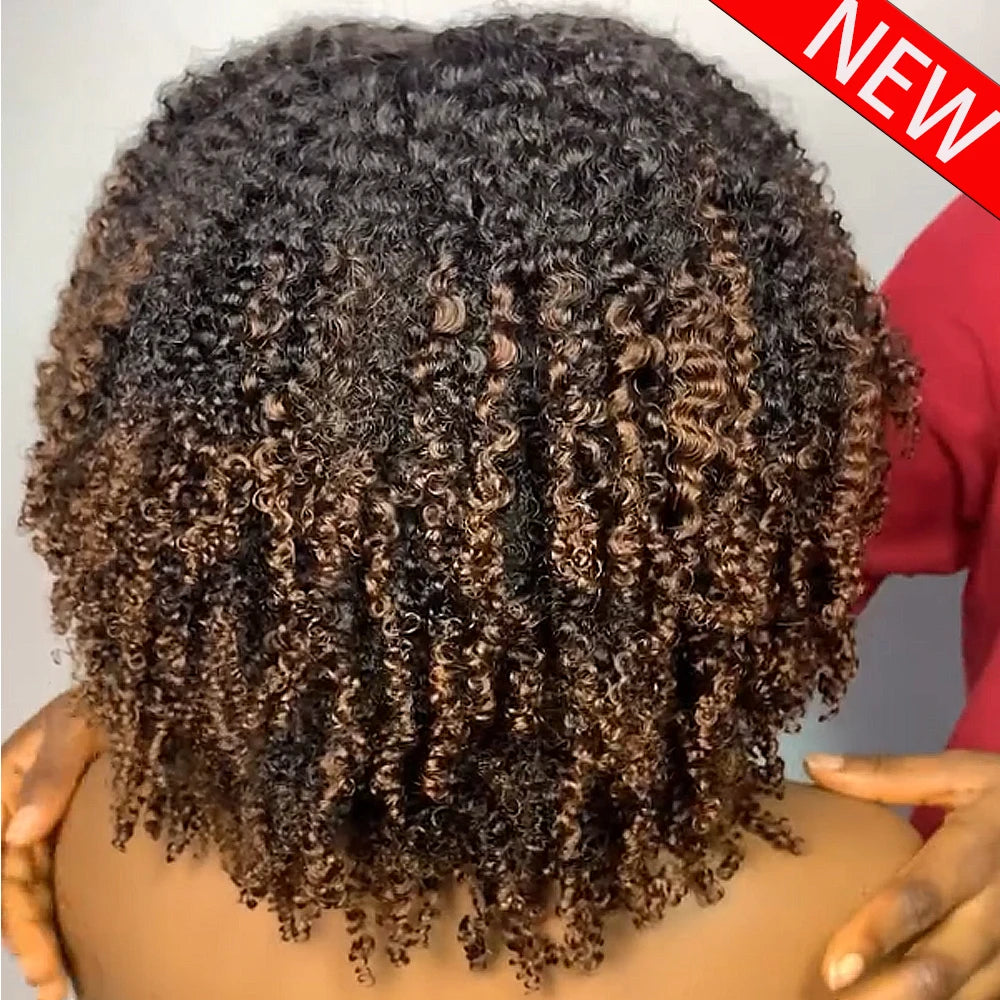 Highlighted Hd Lace Front Human Hair Wigs Glueless