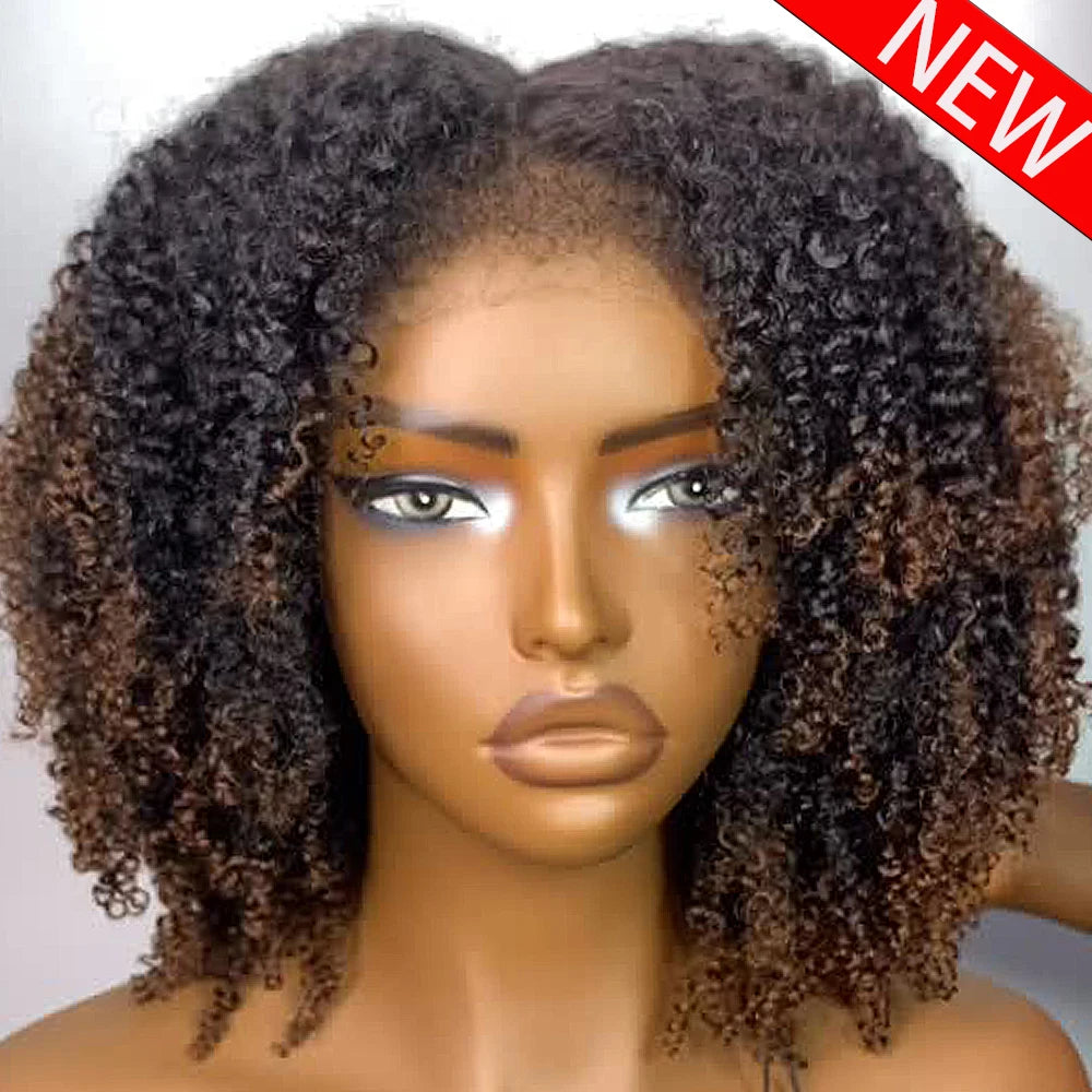 Highlighted Hd Lace Front Human Hair Wigs Glueless