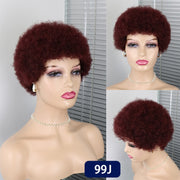 Pixie Cut Brazilian Human Hair Wigs