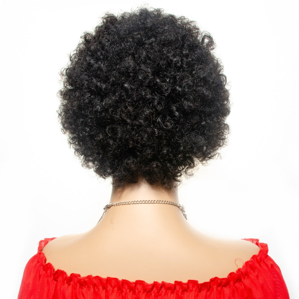 Kinky Brazilian Natural Curly Short Afro Wig