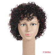 Rebecca Short Loose Curly Human Hair Wigs