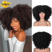 Kinky Curl Afro Wigs