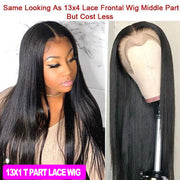 Straight Lace Front, T Part, and Lace Frontal Human Hair Wigs