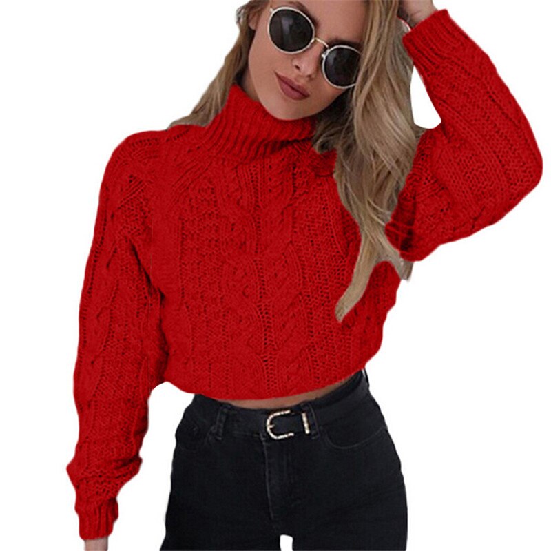 Short Long Sleeve Turtleneck Sweater