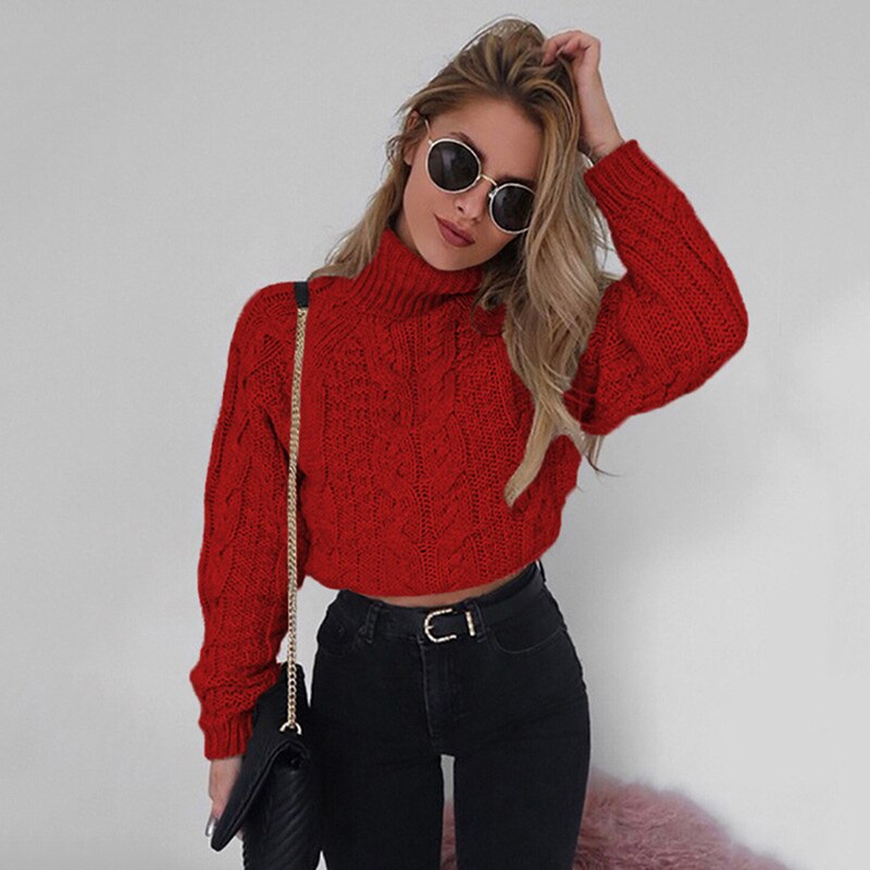 Short Long Sleeve Turtleneck Sweater