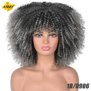 Kinky Curl Afro Wigs