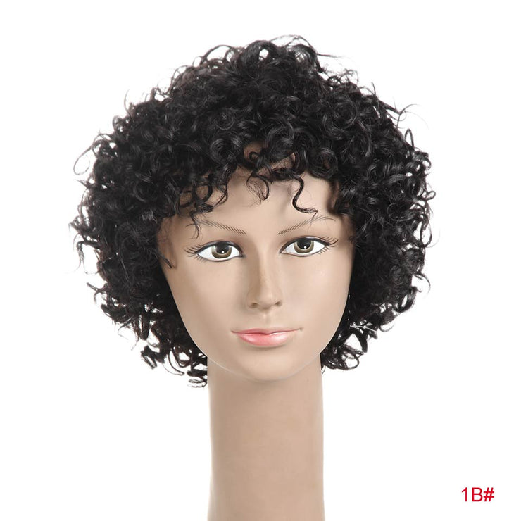 Rebecca Short Loose Curly Human Hair Wigs