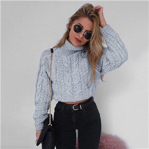 Short Long Sleeve Turtleneck Sweater