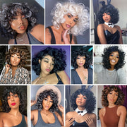 Short Curly Afro Wig with Bangs High Temperature Fiber