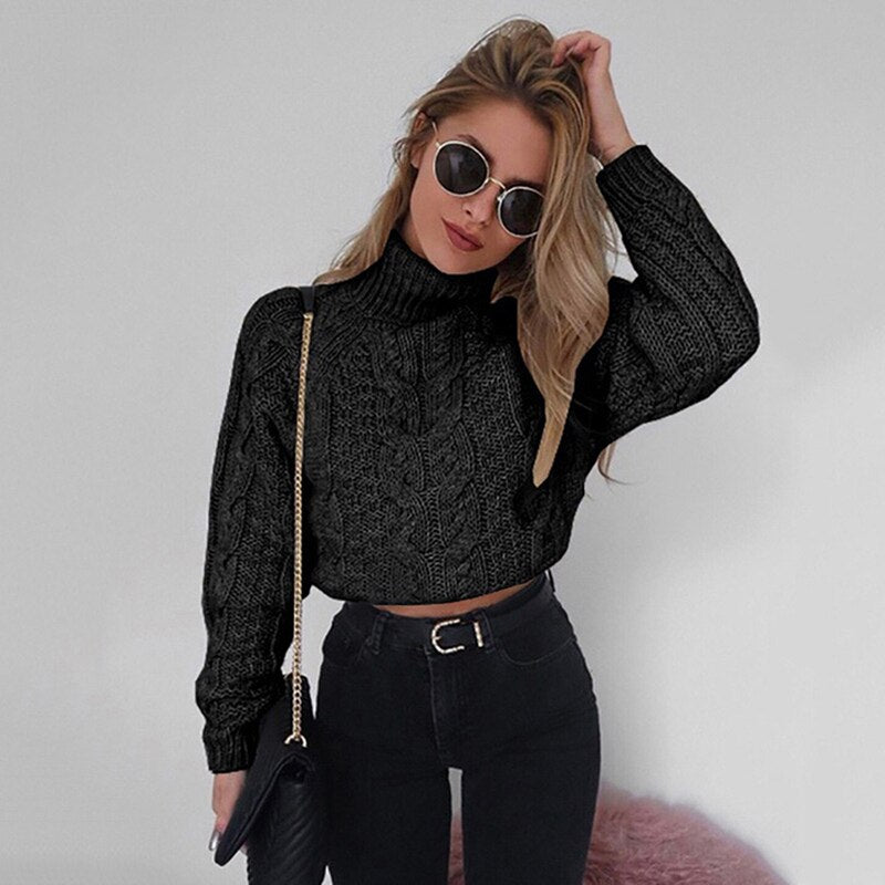 Short Long Sleeve Turtleneck Sweater