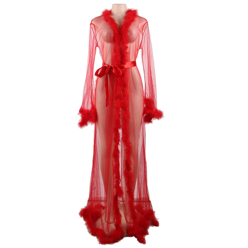 Long Sheer Transparent Robe