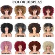 Kinky Curl Afro Wigs