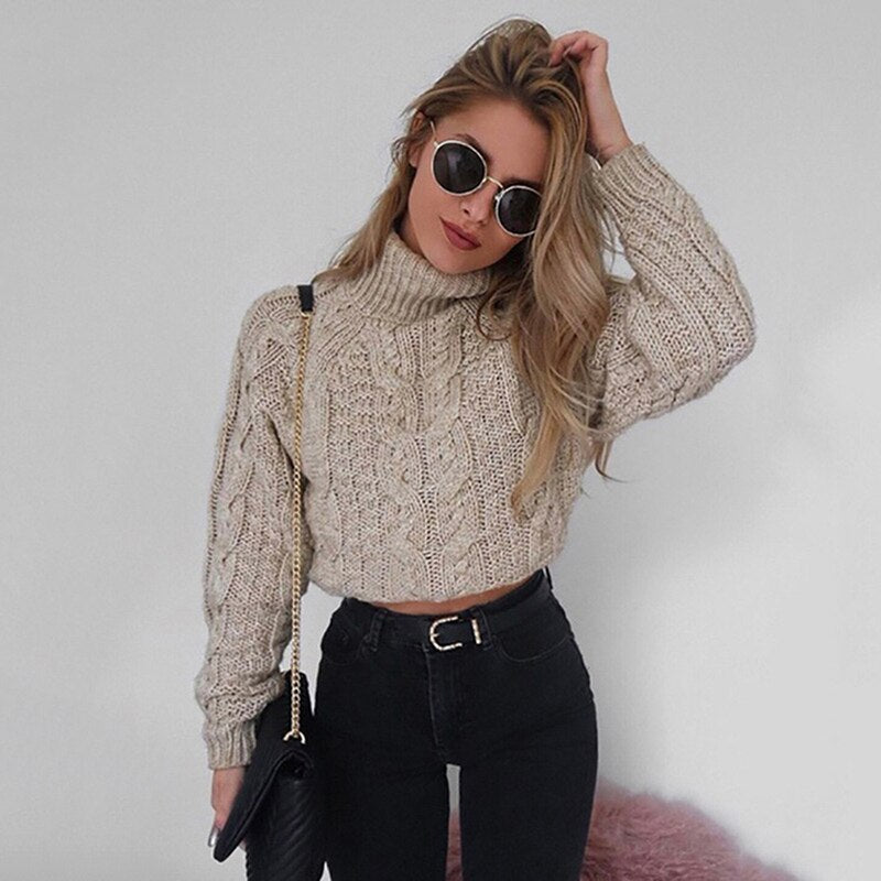 Short Long Sleeve Turtleneck Sweater