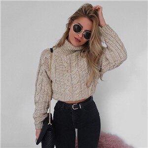 Short Long Sleeve Turtleneck Sweater