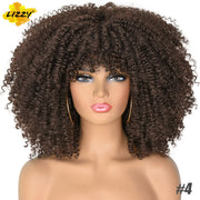 Kinky Curl Afro Wigs