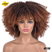 Kinky Curl Afro Wigs