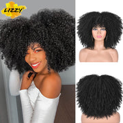 Kinky Curl Afro Wigs