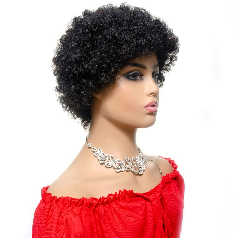 Kinky Brazilian Natural Curly Short Afro Wig