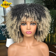 Kinky Curl Afro Wigs