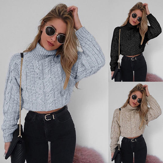 Short Long Sleeve Turtleneck Sweater