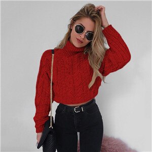 Short Long Sleeve Turtleneck Sweater