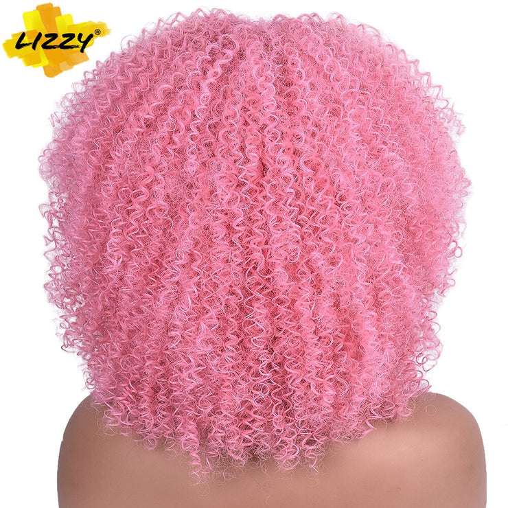 Kinky Curl Afro Wigs