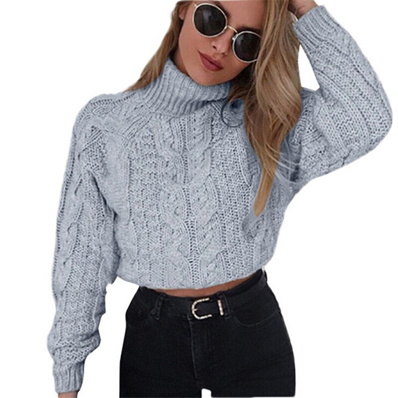 Short Long Sleeve Turtleneck Sweater