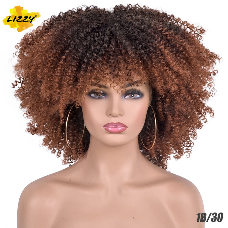 Kinky Curl Afro Wigs