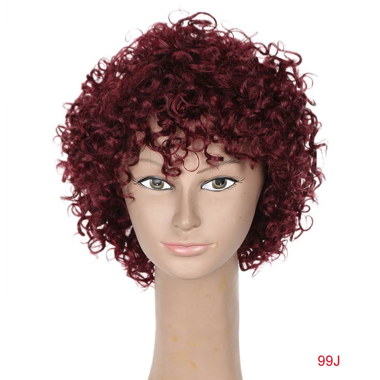 Rebecca Short Loose Curly Human Hair Wigs