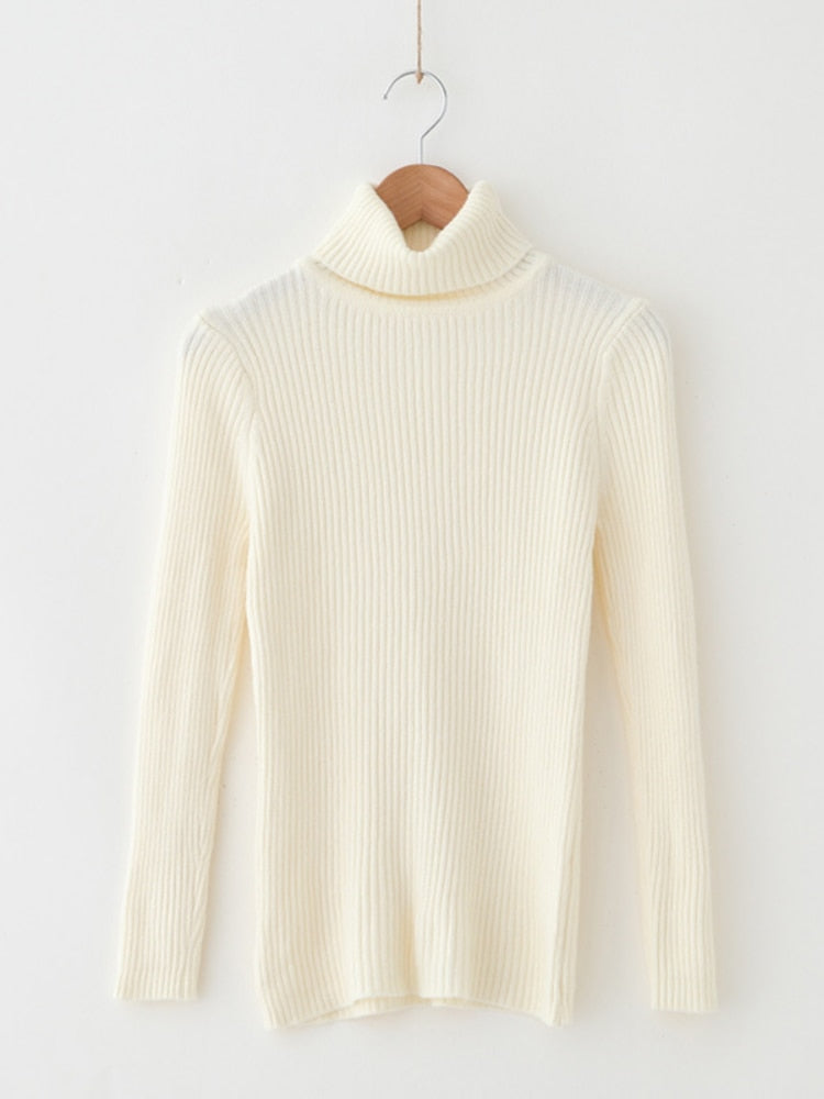 Solid Knit Turtleneck Sweater