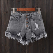 Frayed Ripped Shorts