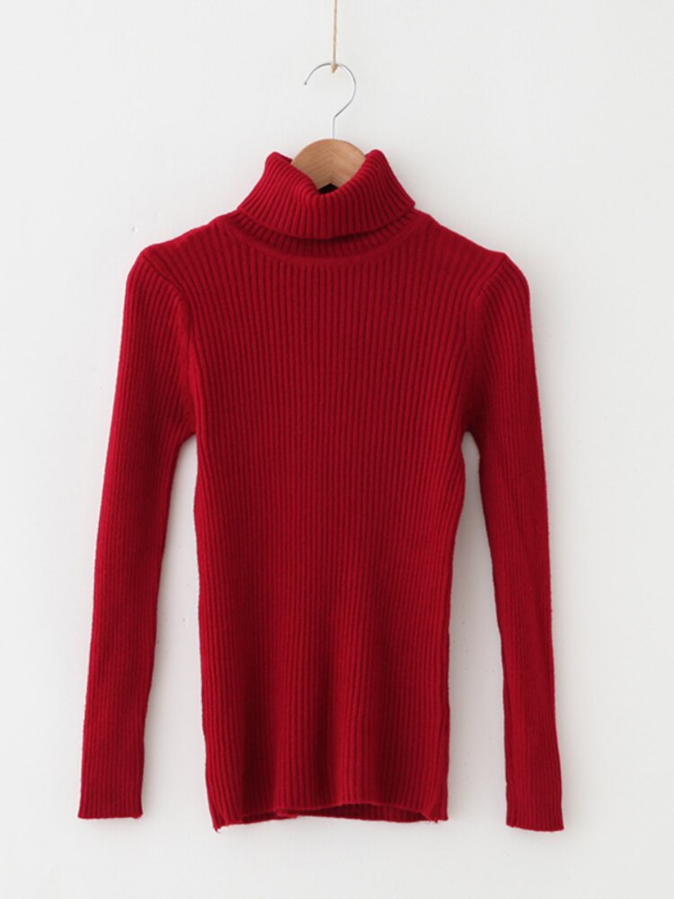 Solid Knit Turtleneck Sweater