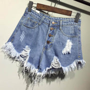 Frayed Ripped Shorts