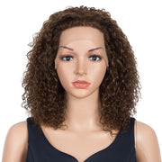 Kinky Curly Lace Front Pre-Plucked Hairline Wig