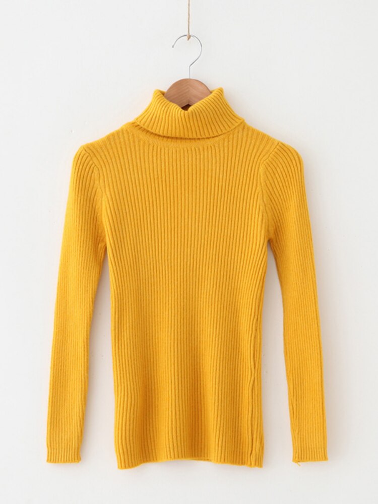 Solid Knit Turtleneck Sweater