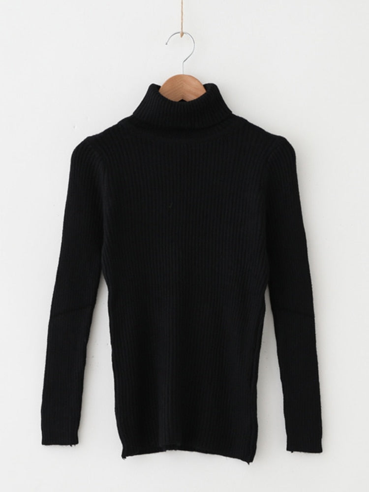 Solid Knit Turtleneck Sweater