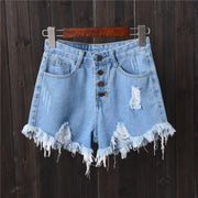 Frayed Ripped Shorts