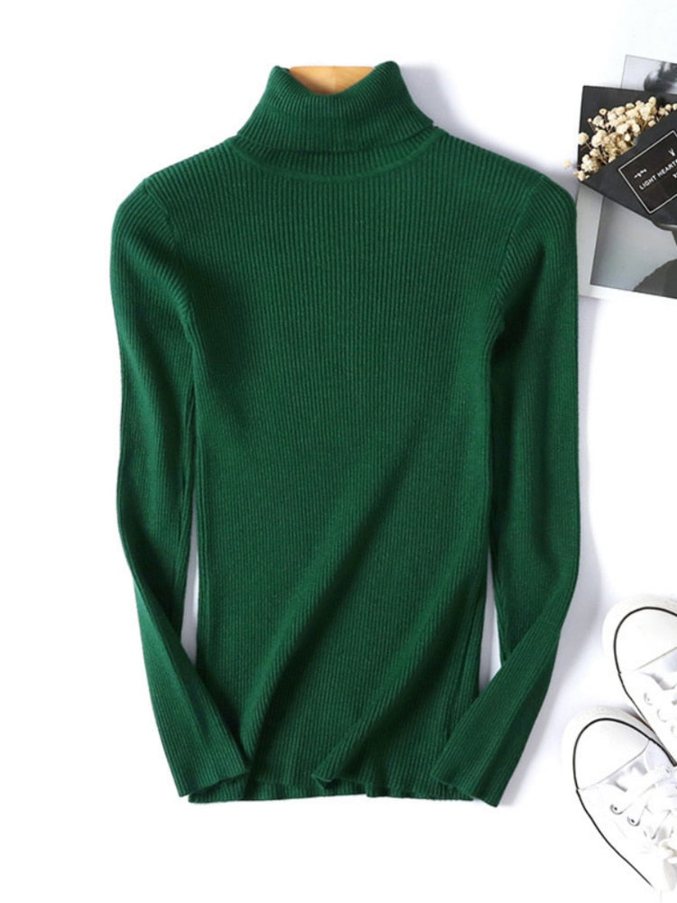 Solid Knit Turtleneck Sweater