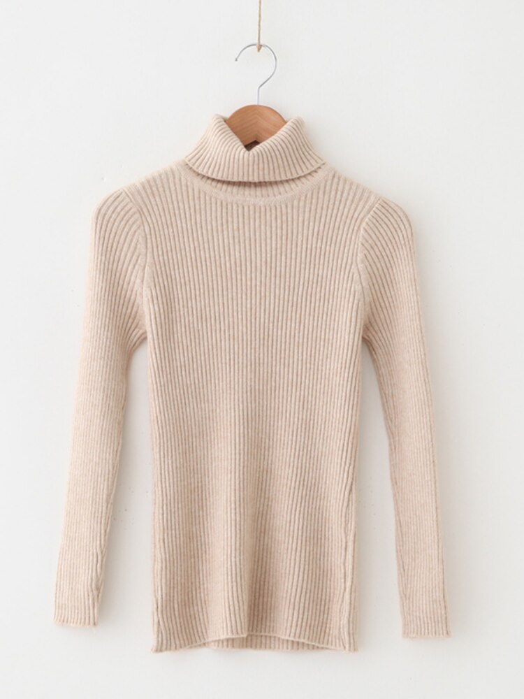 Solid Knit Turtleneck Sweater